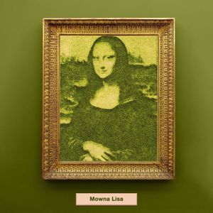 Image post by @scottslawn on Instagram