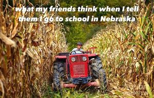 Image post by @huskerchicks on Instagram