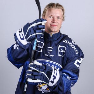 Image post by @leijonatfi on Instagram
