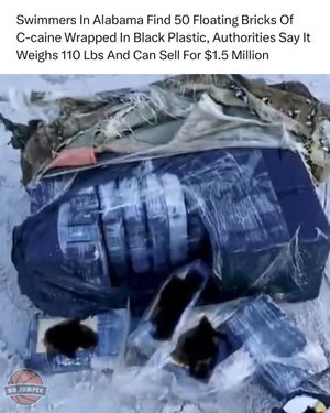 Image post by @nojumper on Instagram