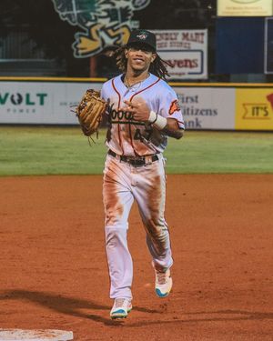 Image post by @gowoodducks on Instagram