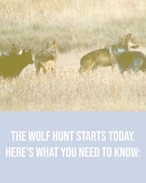Image post by @centerforbiodiv on Instagram