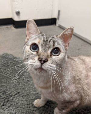 Image post by @warm1069 on Instagram