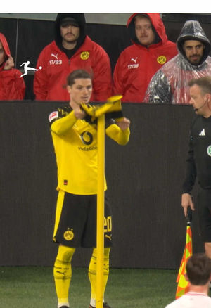 Video post by @bundesliga on TikTok