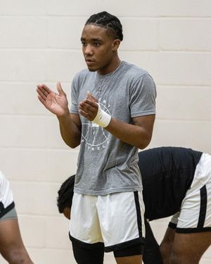 Image post by @gopetrelsmbb on Instagram