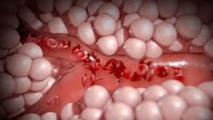 Video post by @nucleusmedicalmedia on YouTube