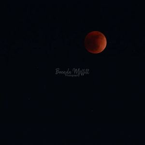 Image post by @brendamoffitt on Instagram