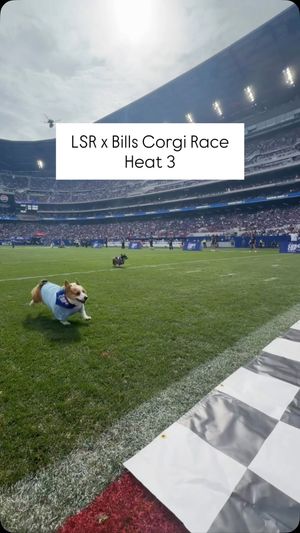 Video post by @littlestumpsracing1 on Facebook