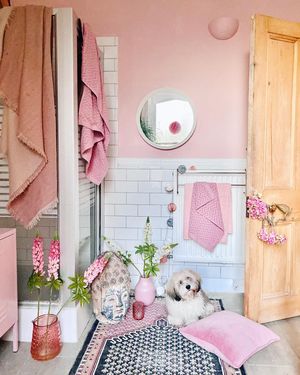 Image post by @annalysejacobs on Instagram