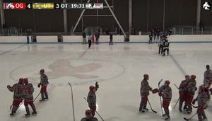 Image post by @BDEHockey on Twitter