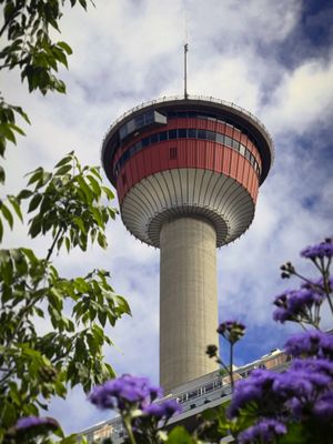 Image post by @cityofcalgary on Instagram