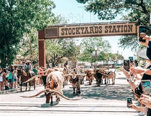 Image post by @visitfortworth on Instagram