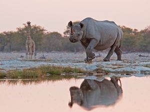Image post by @discovery on Instagram