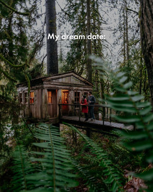 Image post by @treehousepoint on Instagram