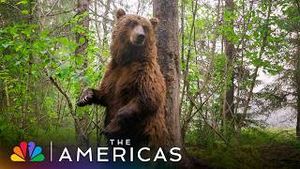 Video post by @nbc on YouTube