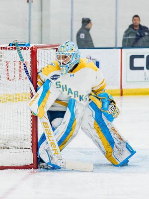 Image post by @liuwhockey on Instagram