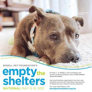 Image post by @suncoasthumane on Instagram