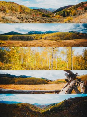 Image post by @scottboldtphoto on Instagram