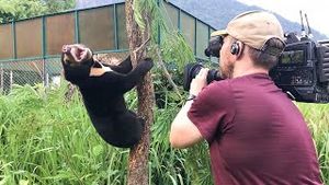 Video post by @bbcearth on YouTube