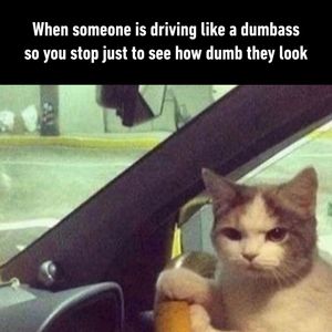 Image post by @9gag on Instagram