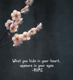 Image post by @amiralumbly on Instagram