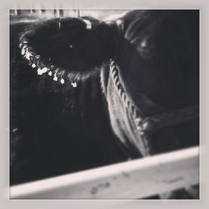 Image post by @nationalwestern on Instagram
