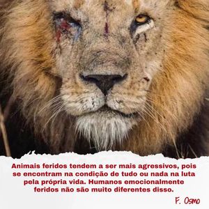 Image post by @o_polimata_oficial on Instagram