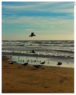 Image post by @bshubhamb on Instagram