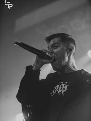 Image post by @leetaylorphotos on Instagram