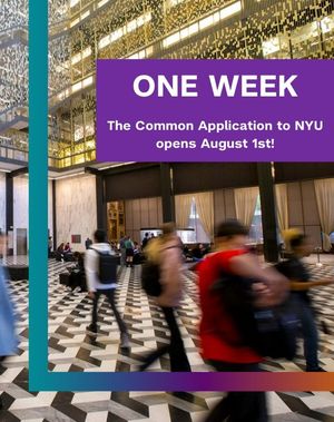 Image post by @meetnyu on Instagram