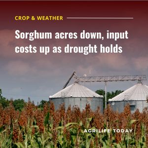 Image post by @txextension on Instagram