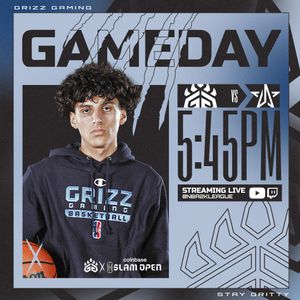 Image post by @grizzgaming on Instagram