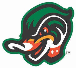 Image post by @gowoodducks on Instagram