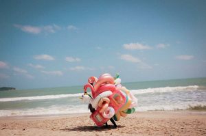 Image post by @leica_camera on Instagram