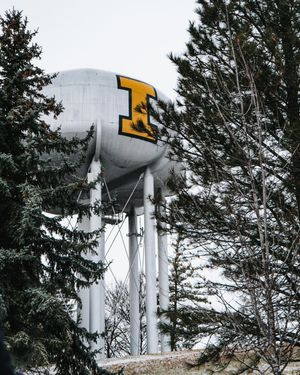 Image post by @idaho_vandals on Instagram