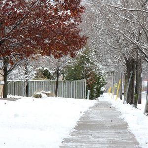 Image post by @cityofstcatharines on Instagram