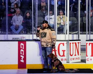 Image post by @sjbarracuda on Twitter