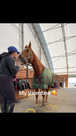 Video post by @kate.cassaidy on TikTok