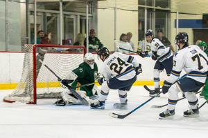 Image post by @sfstampede on Instagram