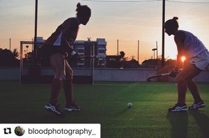 Image post by @terrierfh on Instagram