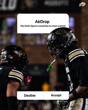 Image post by @sbs_cu on Instagram