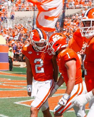 Image post by @cutigervision on Instagram