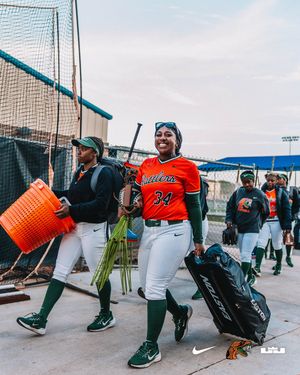 Image post by @famu_softball on Instagram