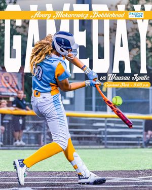 Image post by @laxsteam on Instagram