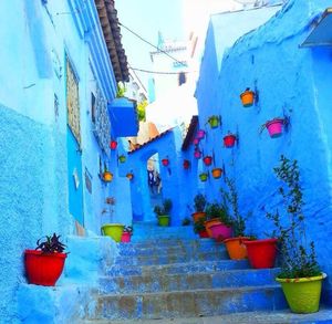 Image post by @cieestudyabroad on Instagram