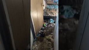 Video post by @derekvickers885 on YouTube