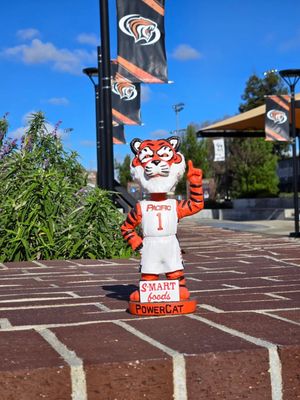 Image post by @pacifictigers on Instagram