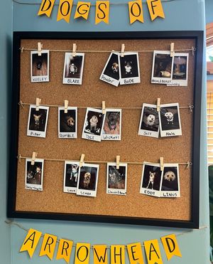 Image post by @arrowheadco on Instagram