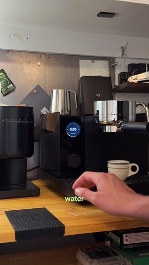 Video post by @joey_driftwood on TikTok