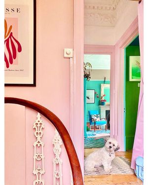 Image post by @annalysejacobs on Instagram